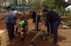 Subprefeito do Ipiranga planta filha da Figueira das Lágrimas