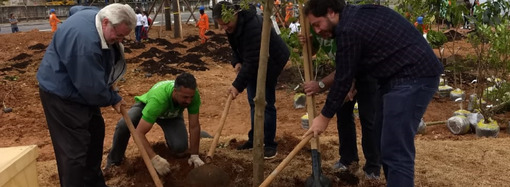 Subprefeito do Ipiranga planta filha da Figueira das Lágrimas